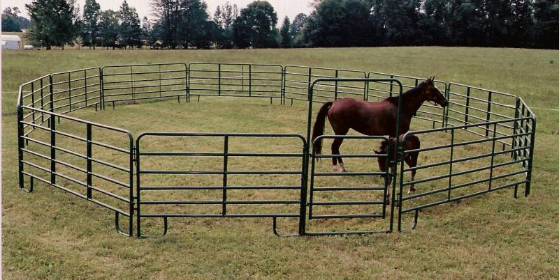 Corral Pen with a 4' walk-thru
